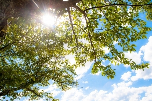 老けないために20代からやっておきたい！「春先の紫外線対策」