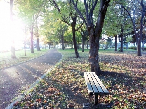 朝日を浴びて痩せ体質に！ダイエットホルモン「セロトニン」とは