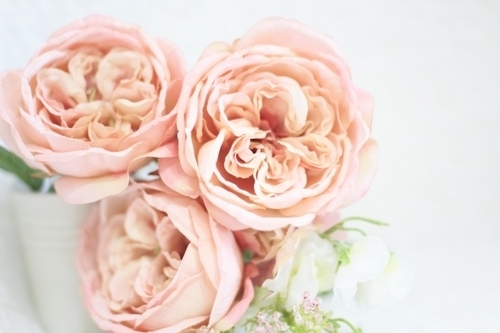 美容に欠かせない「女性ホルモン」を食事でサポートしよう！