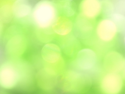 【星座別性格分析】牡牛座の魅力とは？