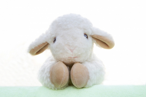 星座別・恋愛取り扱い説明書「牡羊座の男性編」