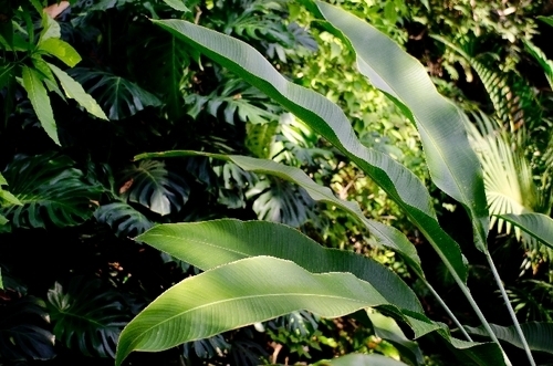 「何もしない」のがひそかにブーム。セレブもハマる原始人美容とは？