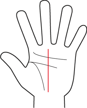 やっぱり「デキる男」が好き♪出世する男性を見抜く手相術