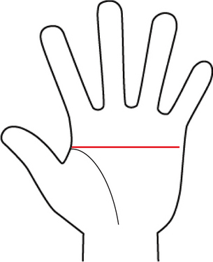 やっぱり「デキる男」が好き♪出世する男性を見抜く手相術