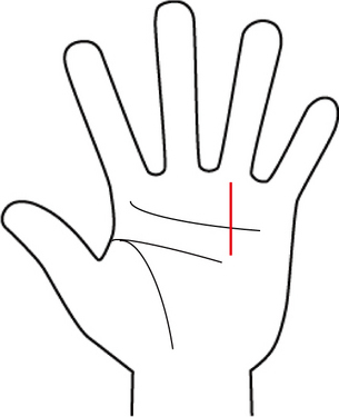 やっぱり「デキる男」が好き♪出世する男性を見抜く手相術