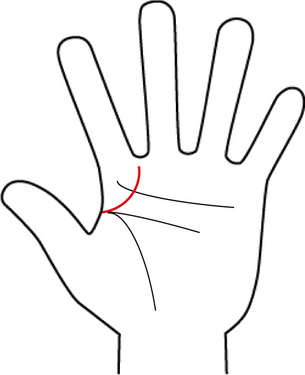 やっぱり「デキる男」が好き♪出世する男性を見抜く手相術