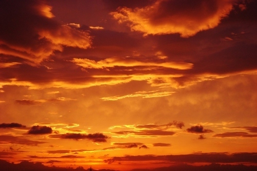 【マヤ占い】赤い空歩く人の１３日間は、慈愛と奉仕の精神を育てよう！