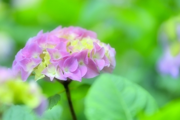 湿気に注意！梅雨時期の運気アップ法