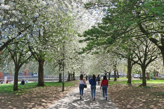 運動嫌いの人ほどウォーキングでキレイになれる理由って？