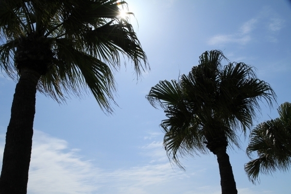 気をつけるのは季節だけじゃない！紫外線対策がマストな「女子のアノ時期」