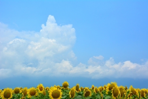 見た目の潤いに騙されないで！夏に注意すべき「インナードライ」