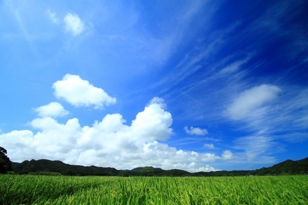 星座グループの個性に迫る！風の星座はどんな人?
