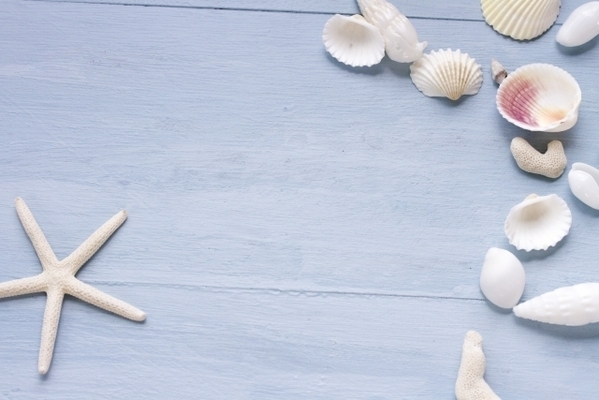 十二支で占う！8月の運勢【午年～亥年】