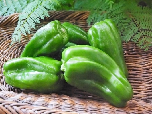 「毎日おつかれさま」夏バテ気味の彼に食べさせたい、夏のカラダ回復ごはん・4つ