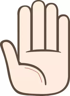 幸せな恋愛が長く続くようになる手相