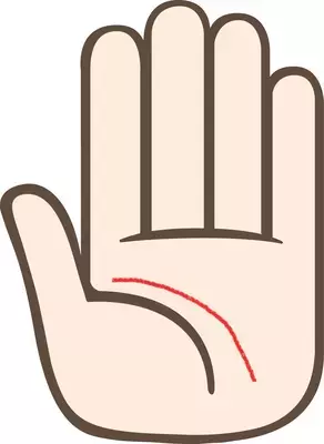 幸せな恋愛が長く続くようになる手相