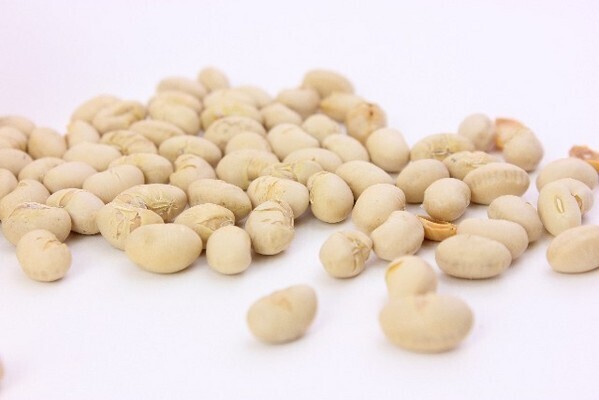 ダイエットにも美容にも最適なプロテインがとれるおやつ4選