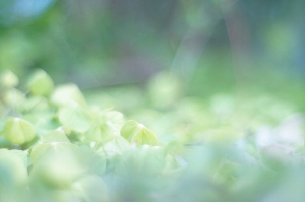 対人ストレスに気をつけて！血液型から見るあなたの健康運と対策