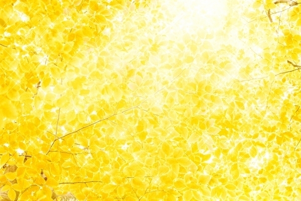 【マヤ占い】黄色い戦士の１３日間は、更なる高みを目指してチャレンジし続けよう！