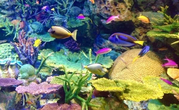 あなたはどれを選ぶ！？「あなたが引っ掛かるダメ男」が分かる心理テスト