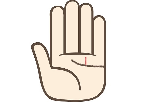 良いことないかな～？成功を呼び寄せる手相術！