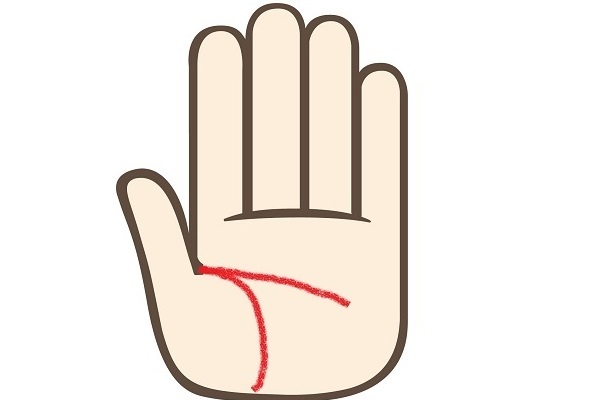 良いことないかな～？成功を呼び寄せる手相術！