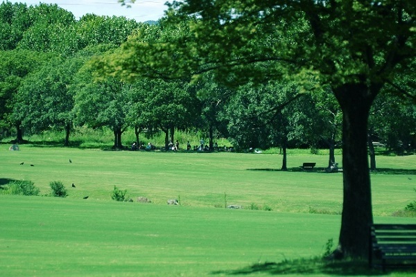 公園でリラックスできる過ごし方とは？名前の最初の文字でわかるコトダマ診断