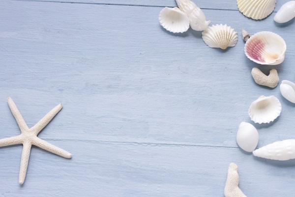 12星座別に方位で運気を高める！ロケーショナル風水【乙女座編】