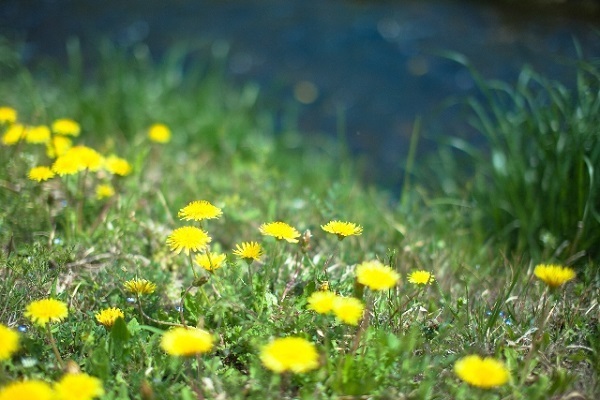 12星座別に方位で運気を高める！ロケーショナル風水　天秤座編