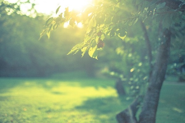 ある日森の中、何と出会った！？あなたの依頼心の対象がわかる心理テスト