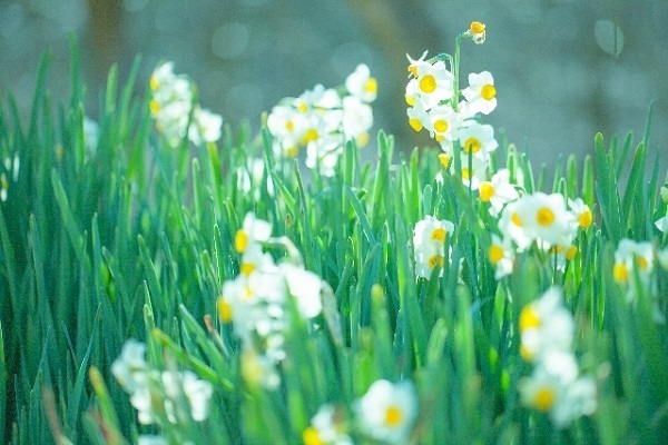 12星座別に方位で運気を高める！ロケーショナル風水・射手座編