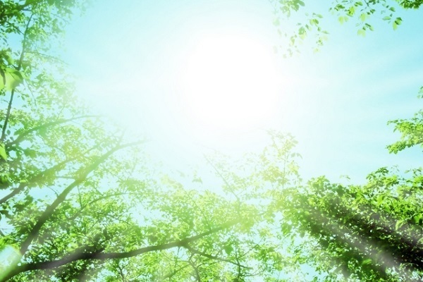 【七曜星風水】〈木星パワー〉でチャンスを広げて大活躍しよう！