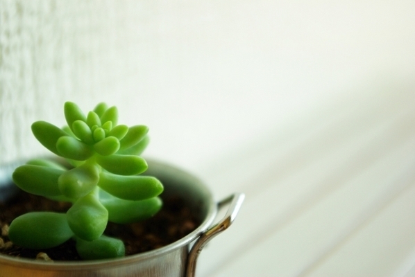 12星座別に方位で運気を高める！ロケーショナル風水・水瓶座編