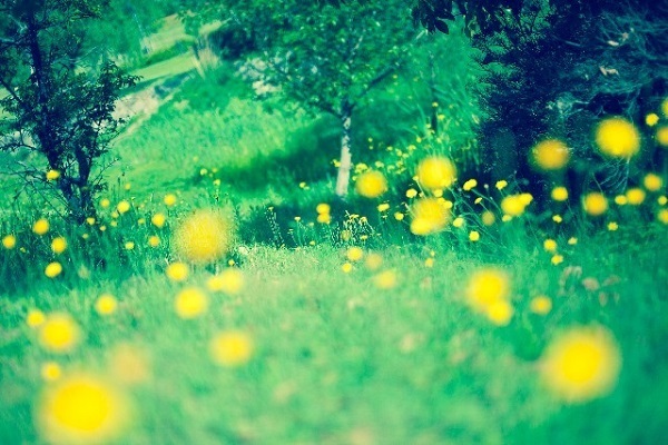 【七曜星風水】〈水星パワー〉で恋も仕事もスピーディに進展させよう！