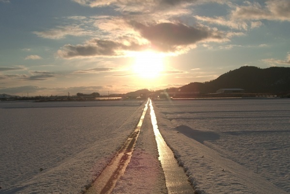 未来だけ信じてる！夢を叶えるパワーの持ち主の画数　自分を好きになるための姓名判断