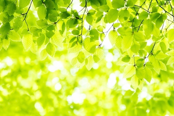 頑張れるものを見つけることで大変身！の画数　自分を好きになるための姓名判断