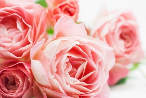 【九星別女子恋愛運アップ風水】二黒土星女子