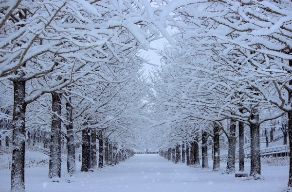 冬になると目力ダウン？！寒さ＆乾燥から目元を守る3つのポイント