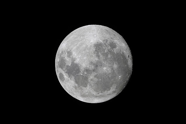 脇田尚揮の「ツキ占い」 12月25日～1月1日