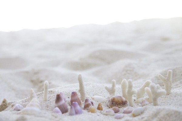 【五精音占い】運気を活気づける五精音別『天然開運アイテム』とは？