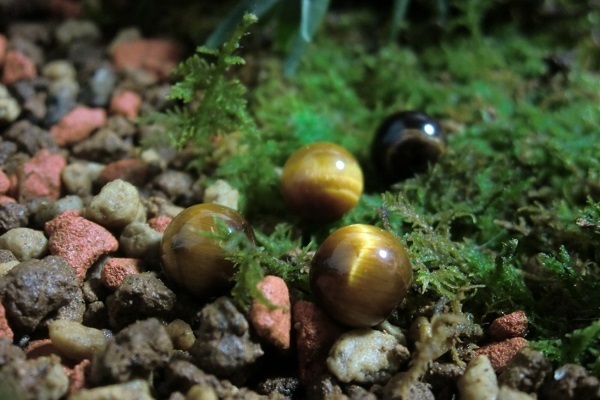 あなたの願いを叶えてくれる！効用別パワーストーン大辞典　～金運～