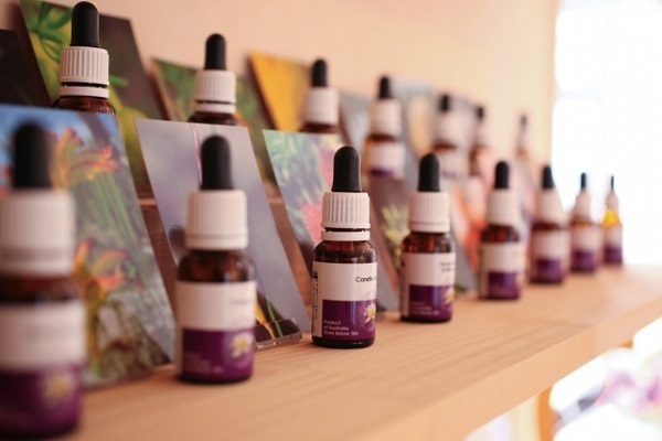 【九星別女子恋愛運アップ風水】四緑木星女子