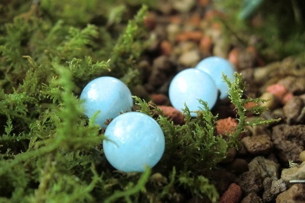 あなたの願いを叶えてくれる！効用別パワーストーン大辞典　～結婚運～