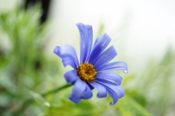 人相と占星術でわかる！2016年あなたの運命の人の顔立ちと性格　～蟹座～