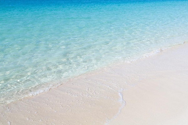 2016年上半期最強開運のための風水九星占い＜五黄土星＞