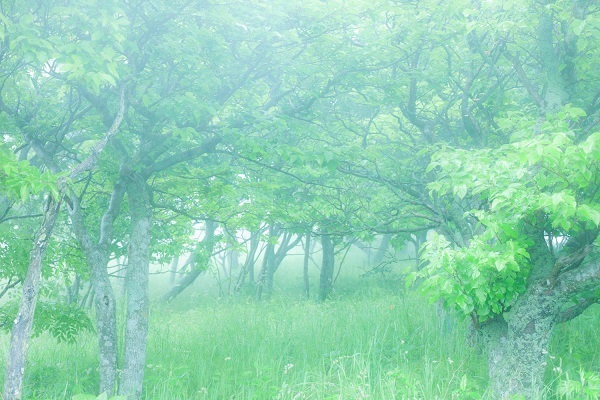 【夢占い】吉凶を占う！デパート・百貨店にまつわる夢4つ