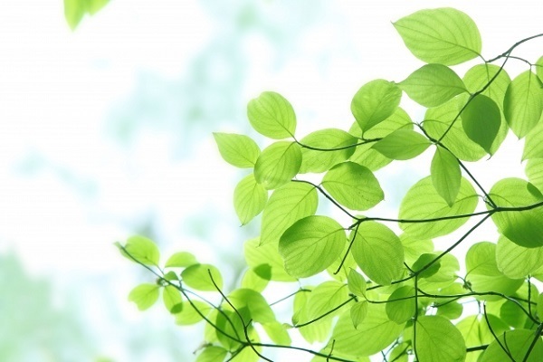 逆境の中で自分を磨いて幸せを掴む画数！「名前」だけで性格がわかる姓名判断