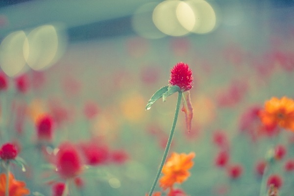 相手の心をつかむ相性チェック！ア行編　名前の最初の文字でわかるコトダマ診断