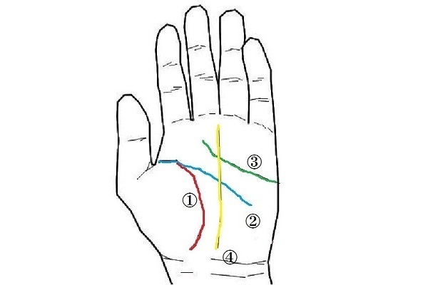 当たり前のようで奥が深い！あなたの運勢を決める手相の基本４線について