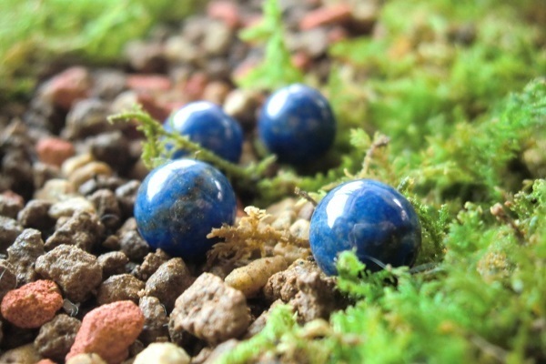 あなたの願いを叶えてくれる！効用別パワーストーン大辞典　～知性を高める～